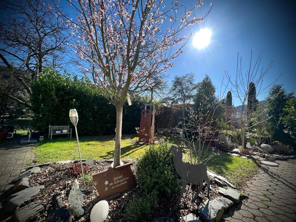 Ferienwohnungen Christina Traben-Trarbach Exterior foto